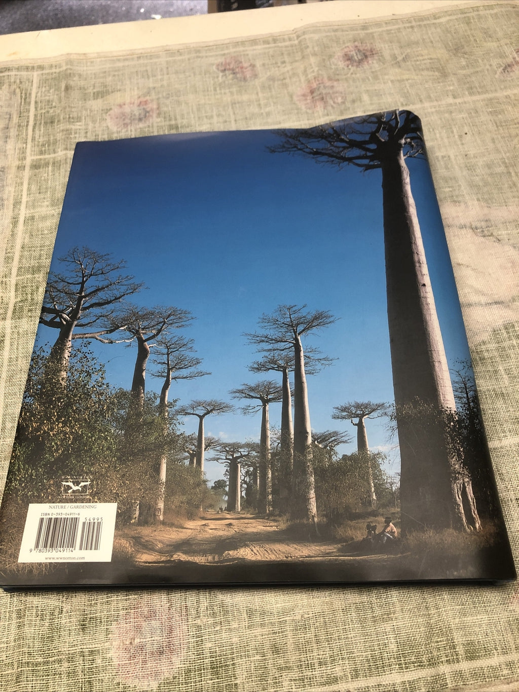 Remarkable Trees of the World by Thomas Pakenham (2002, Hardcover)4