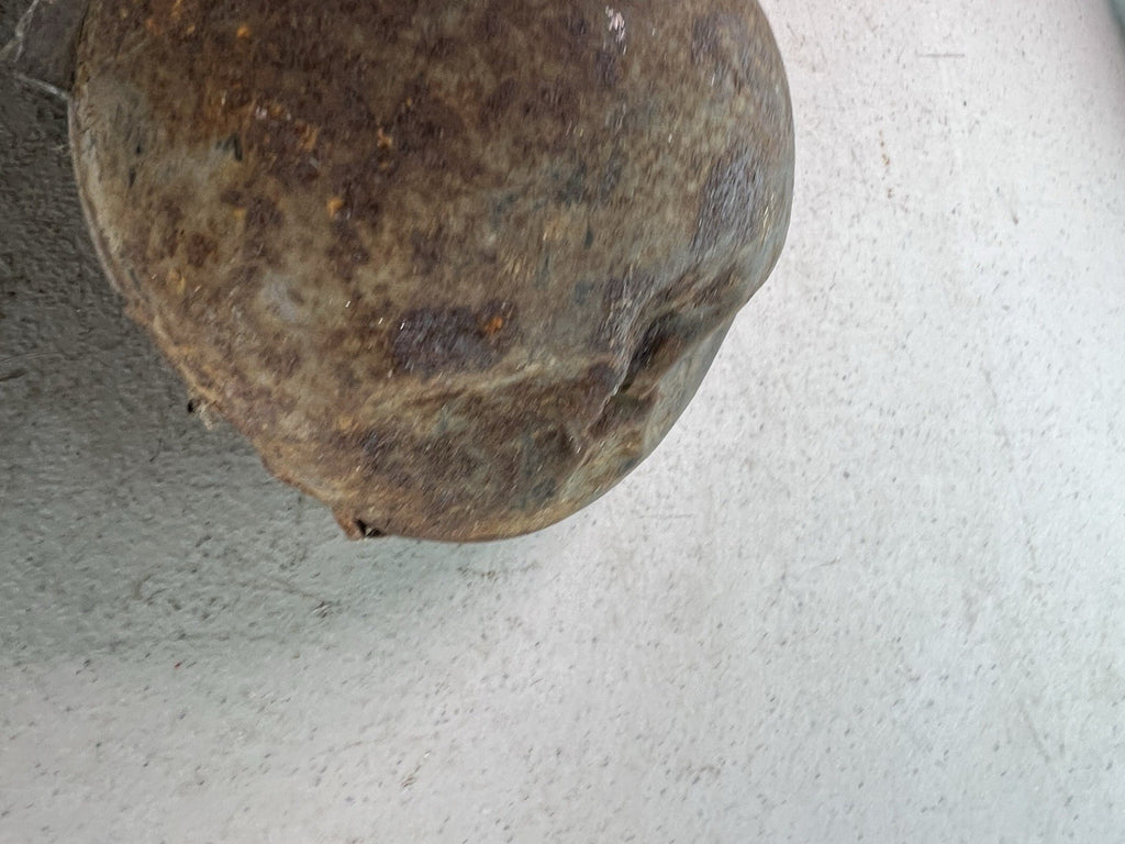 1950s Vintage Snail Horn – Rat Rod Hot Rod Dented2