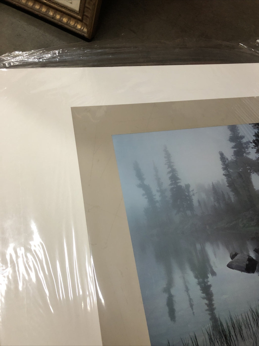 Joseph Holmes 1985 Editions Limited Galleries Poster 35”x25” (Trees In Fog)3