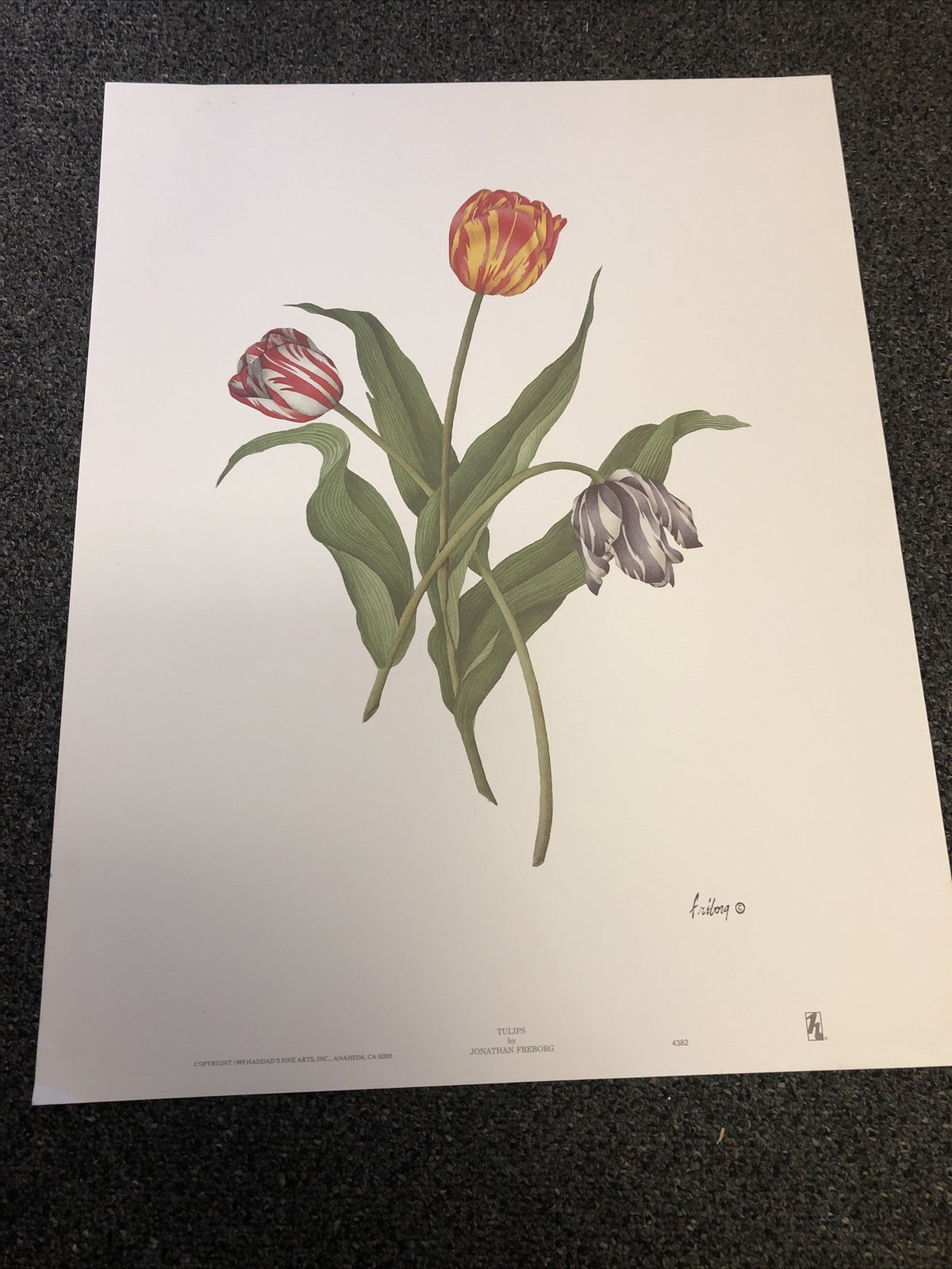 Vintage 1989 Haddad's Fine Art “Tulips” By Johnathan Freborg 22.5”x17.5”0