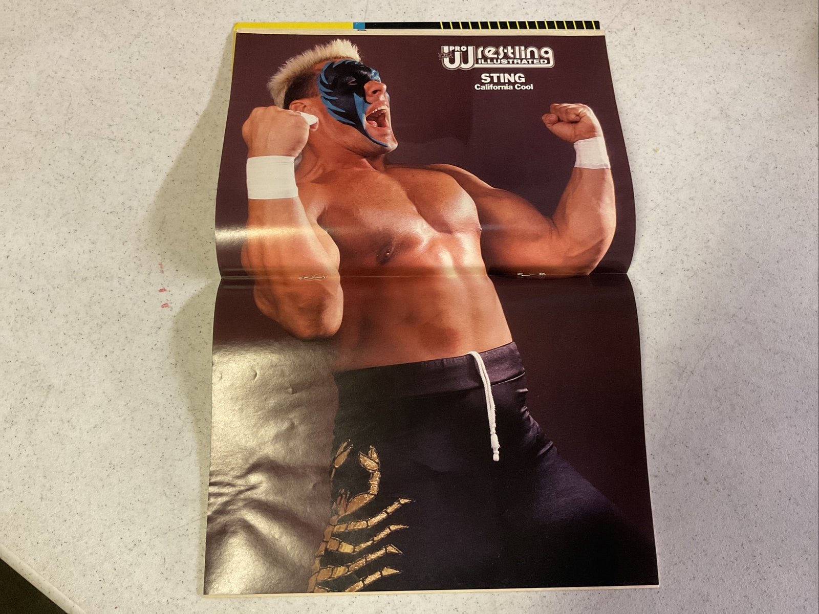 JUNE 1990 PRO WRESTLING ILLUSTRATED magazine - HULK HOGAN vs ULTIMATE WARRIOR3