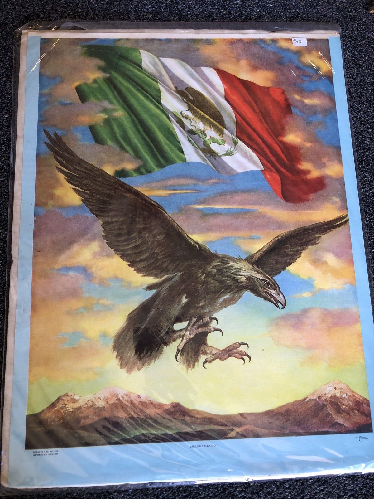 Cielo De Mexico Poster 21”X16”4