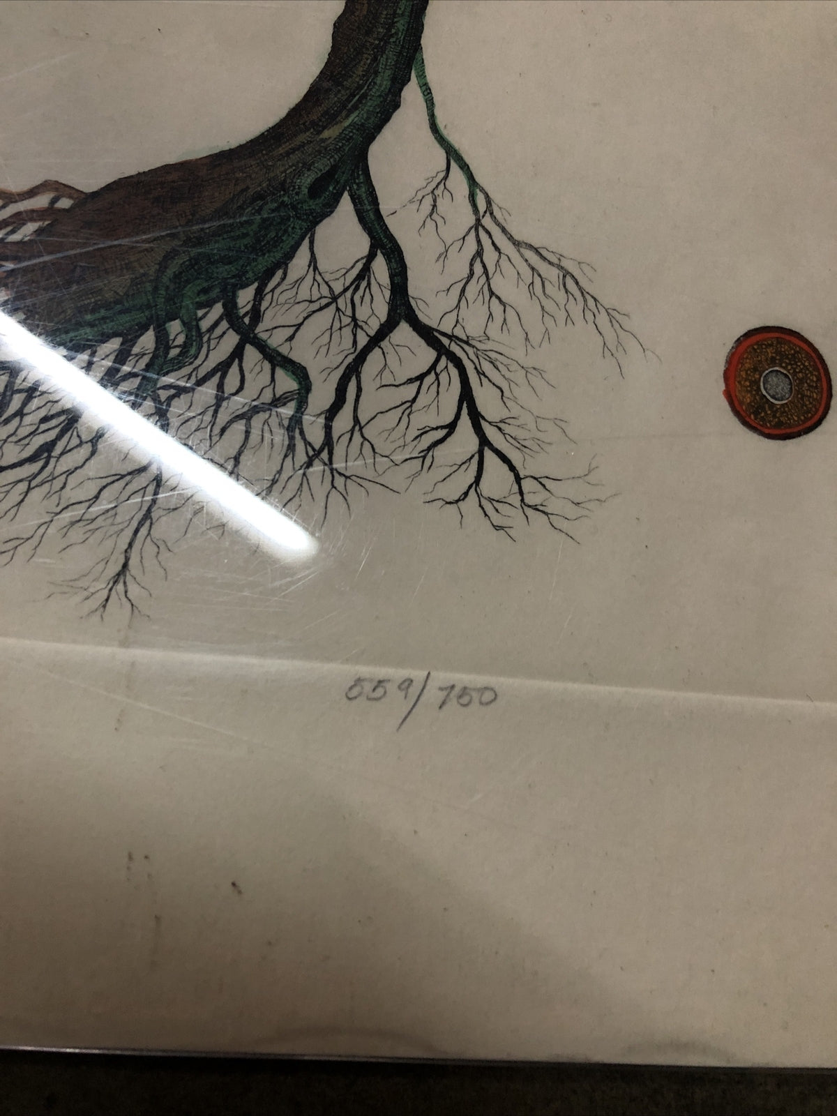 Dan Mitra Signed Etching Numbered 559/750 - 36”x16.5”2