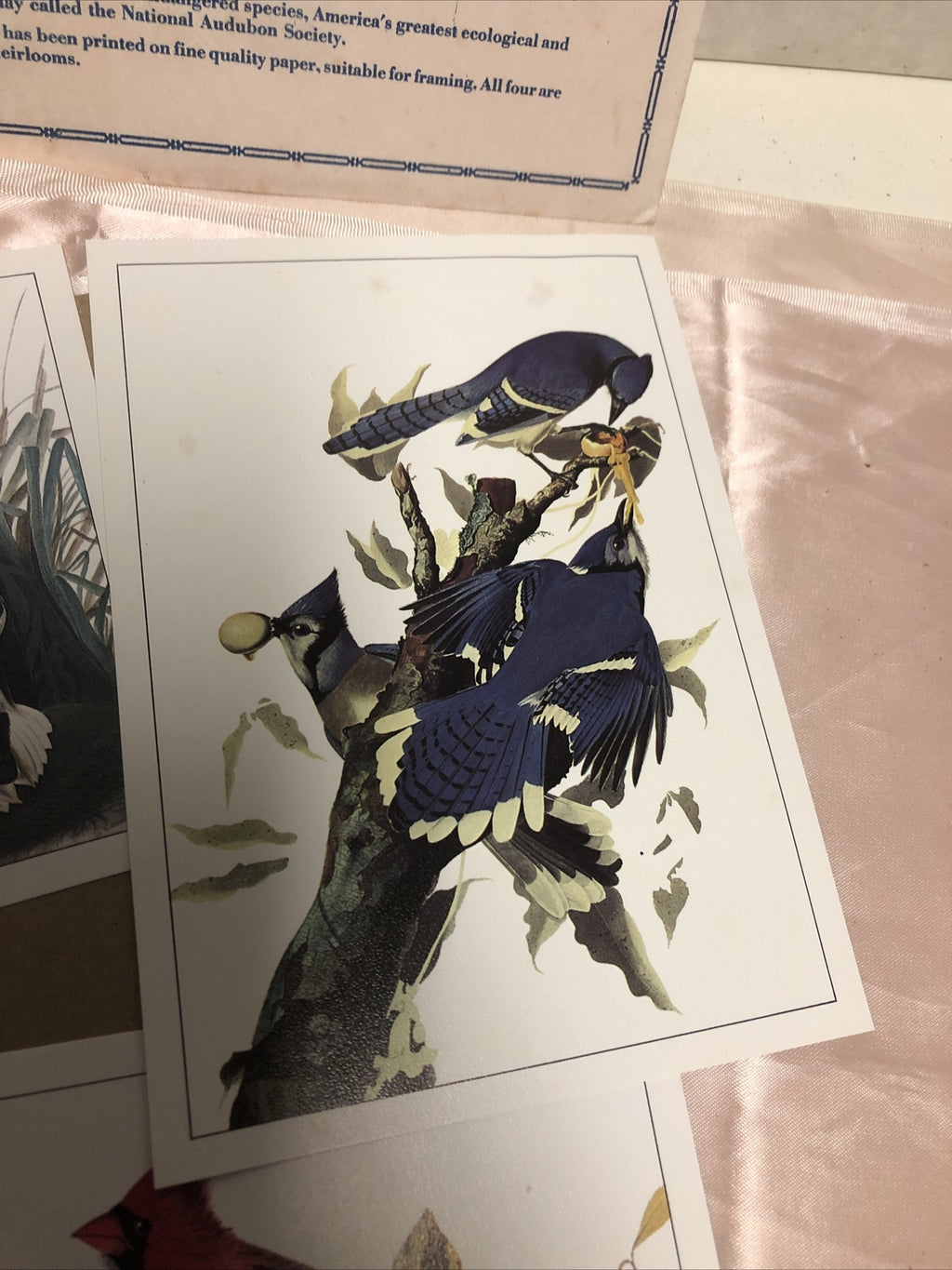 4 John James Audubon Litho Repros 5"x7" Birds & Duck Prints3