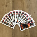 Lot of 14 Kid Rock Lynyrd Skynyrd 2002 Detroit Concert Handbills Mark Arminski0