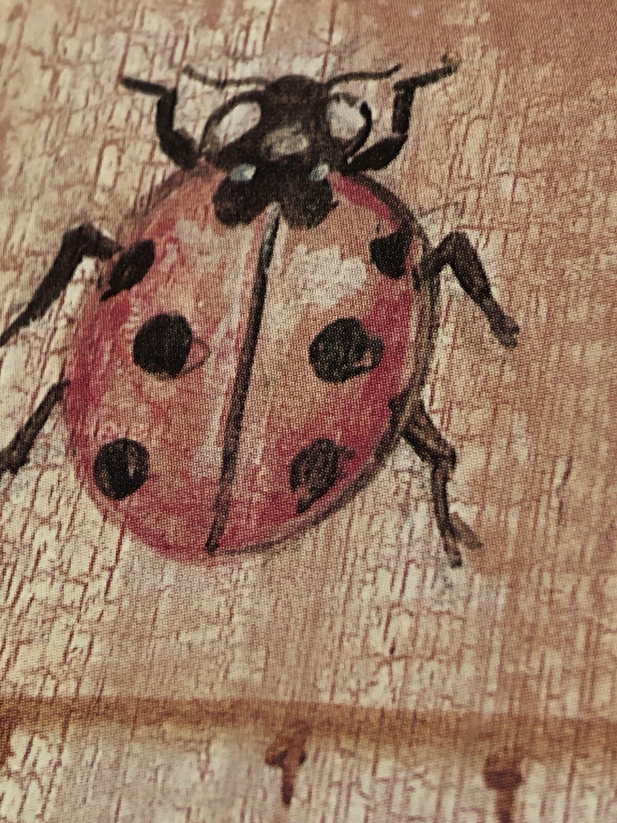 Vintage Framed Ladybug Original Drawing Insects Bug 6.5”x6.5” & 3”x3” Lot Of 22