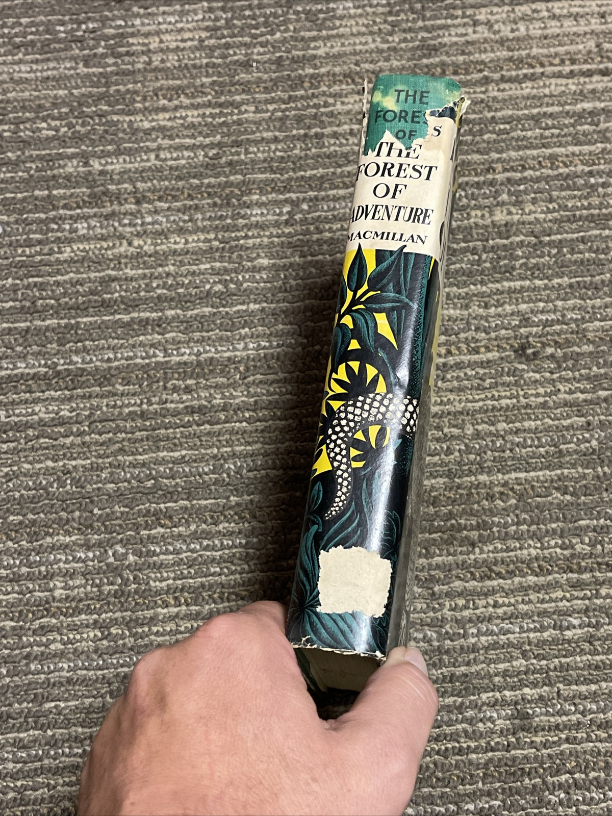 The Forest of Adventure by Raymond Ditmars 1933 First Edition dust jacket6