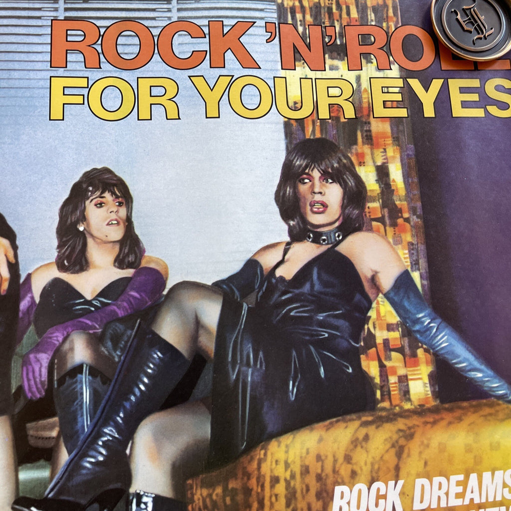 #170 1973 Rock Dreams by Guy Peelaert Nik Cohn Book Promo Poster Drag6
