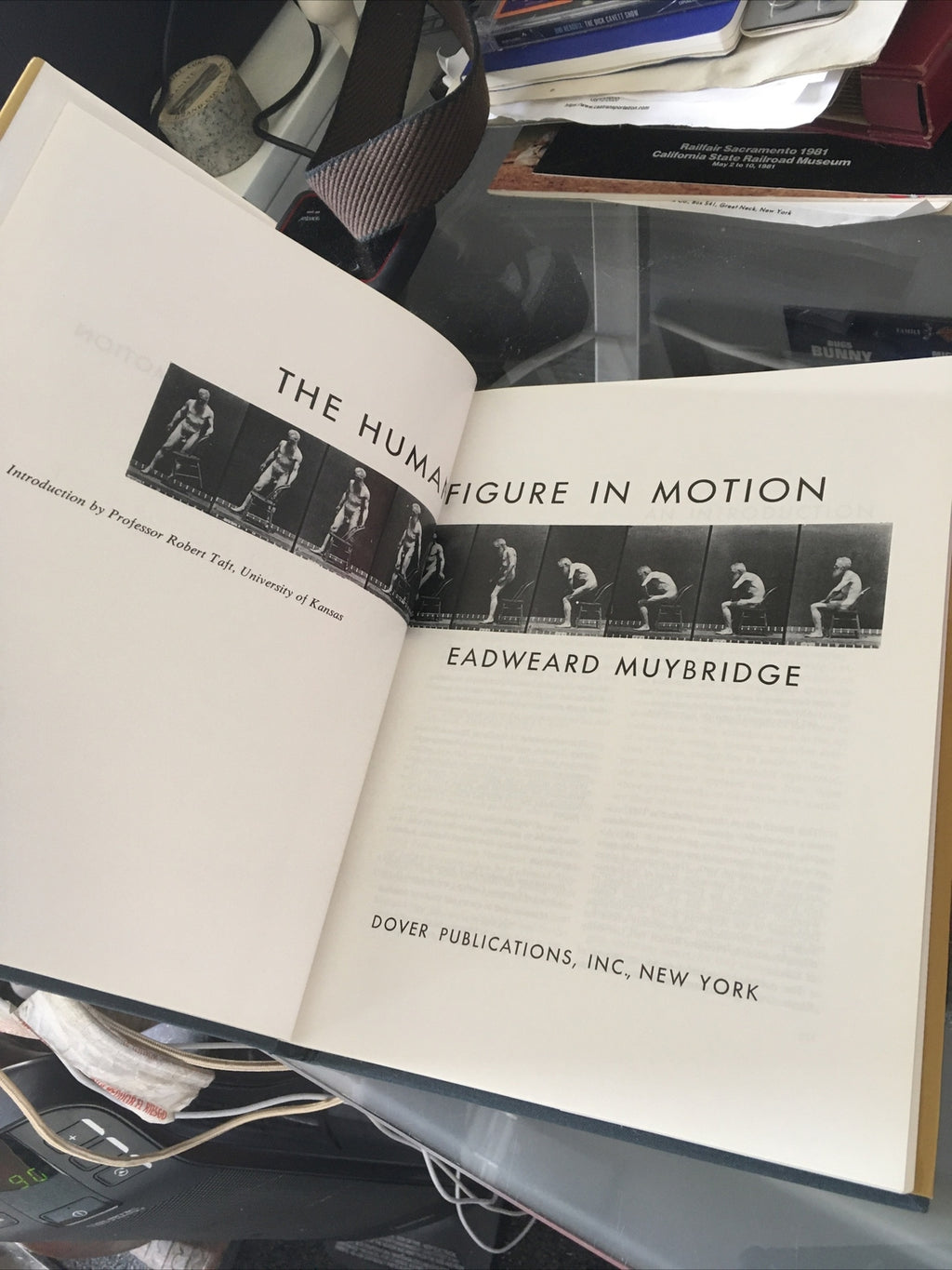 The Human Figure in Motion by Eadweard Muybridge4