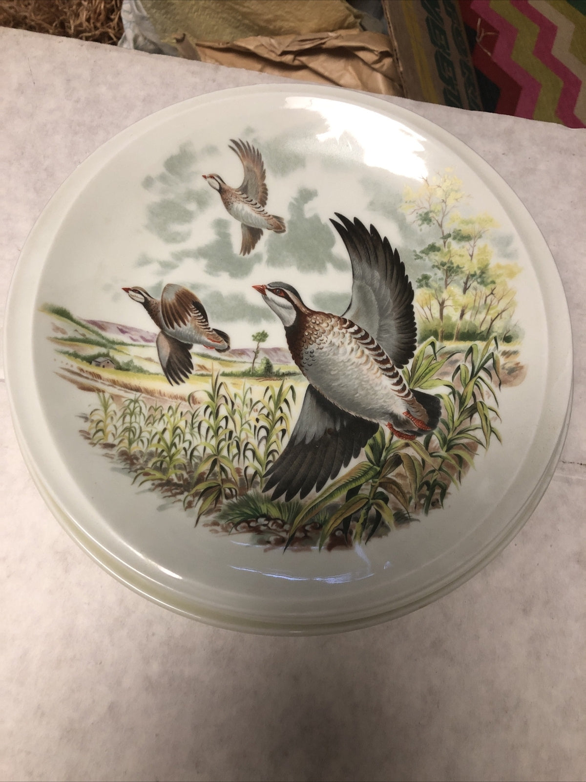Lot Of 4 PORCELAINE DE SOLOGNE Plates Two 9” & Two 10”3