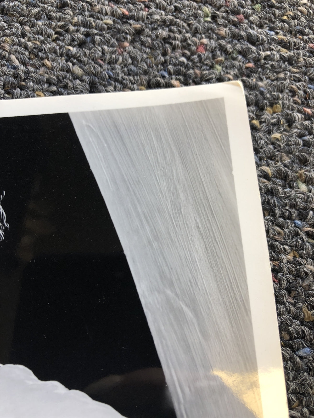 Rare Vintage Original Unpublished Photo Of ANN NEAGE 10”x7.5”3
