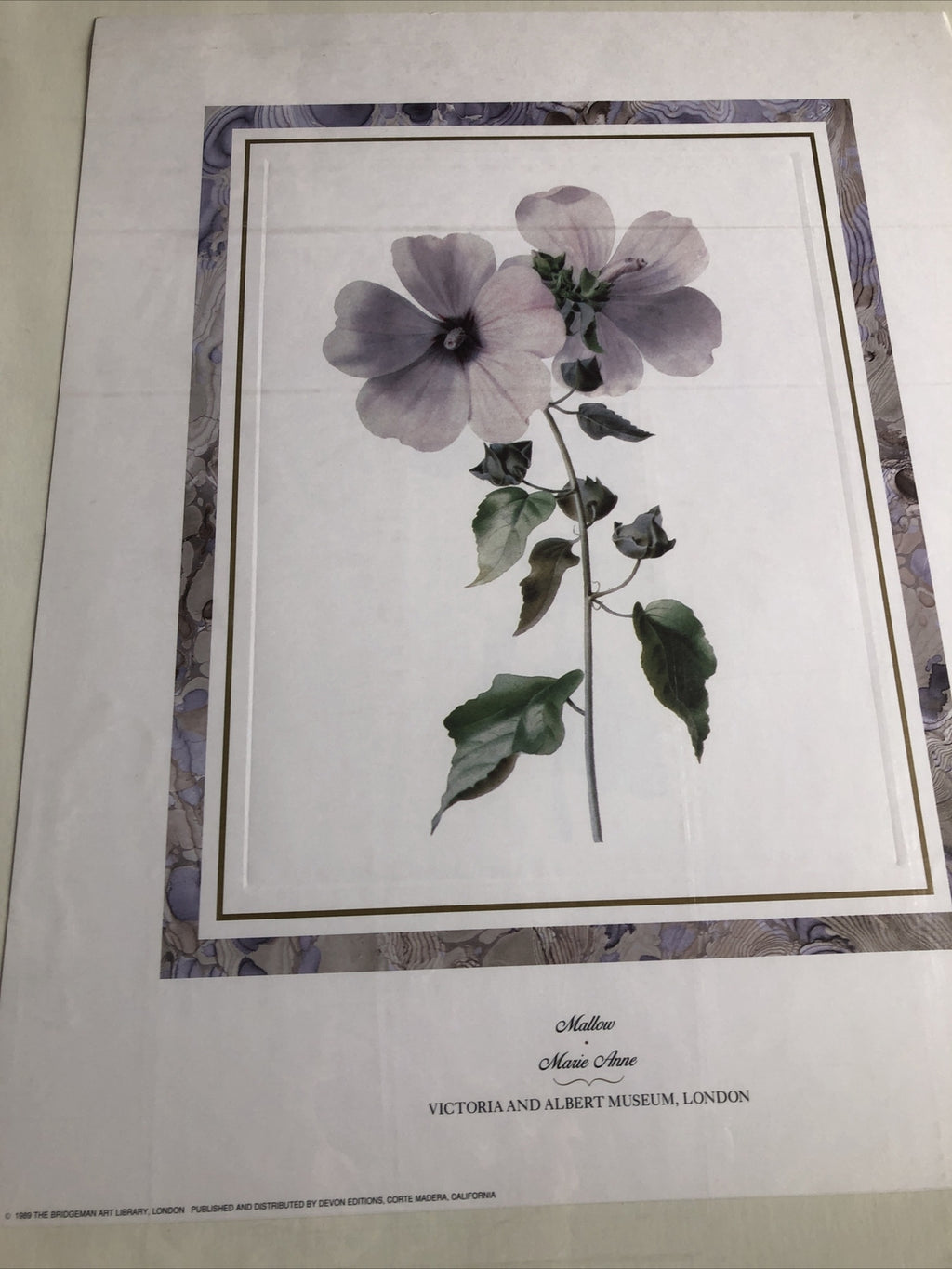 1989 The Bridgeman Art Library “Mallow” Marie Anne 20”x16”6