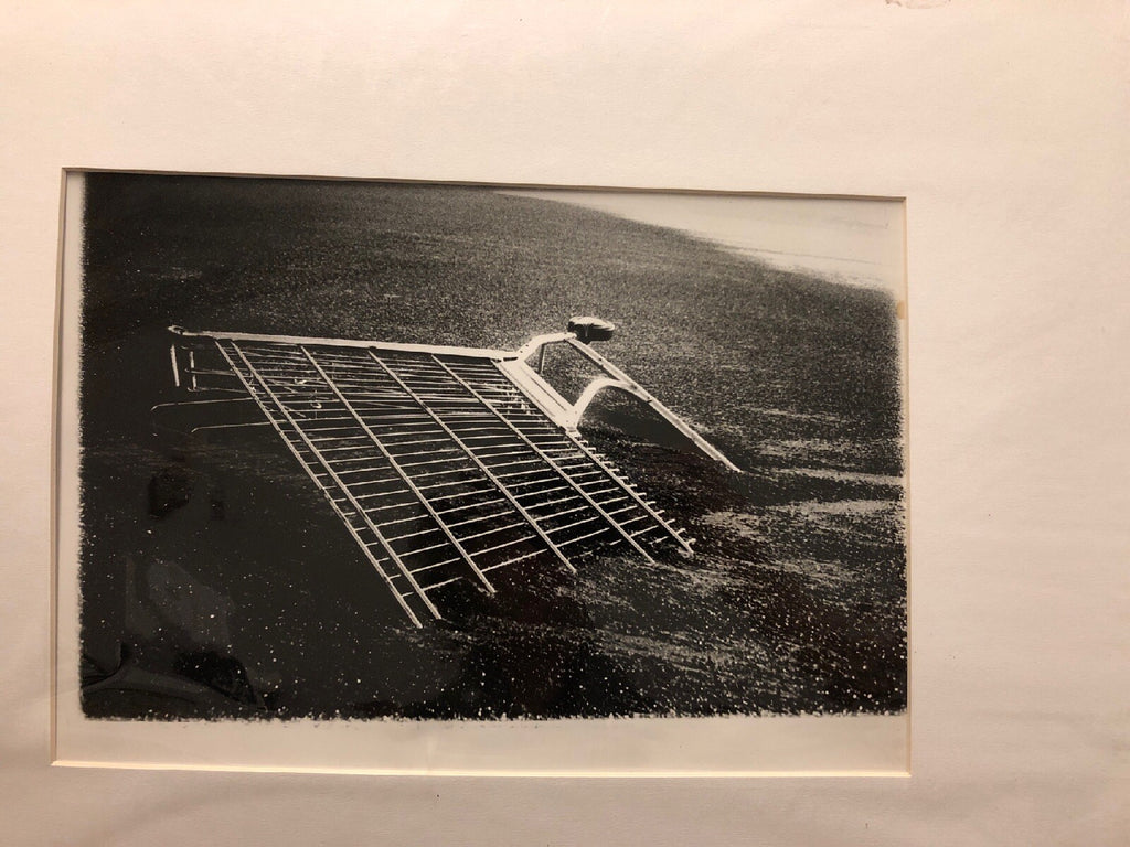 Aaron McDaniel Cart Stuck In Mud Photo 20x16 Home Art0