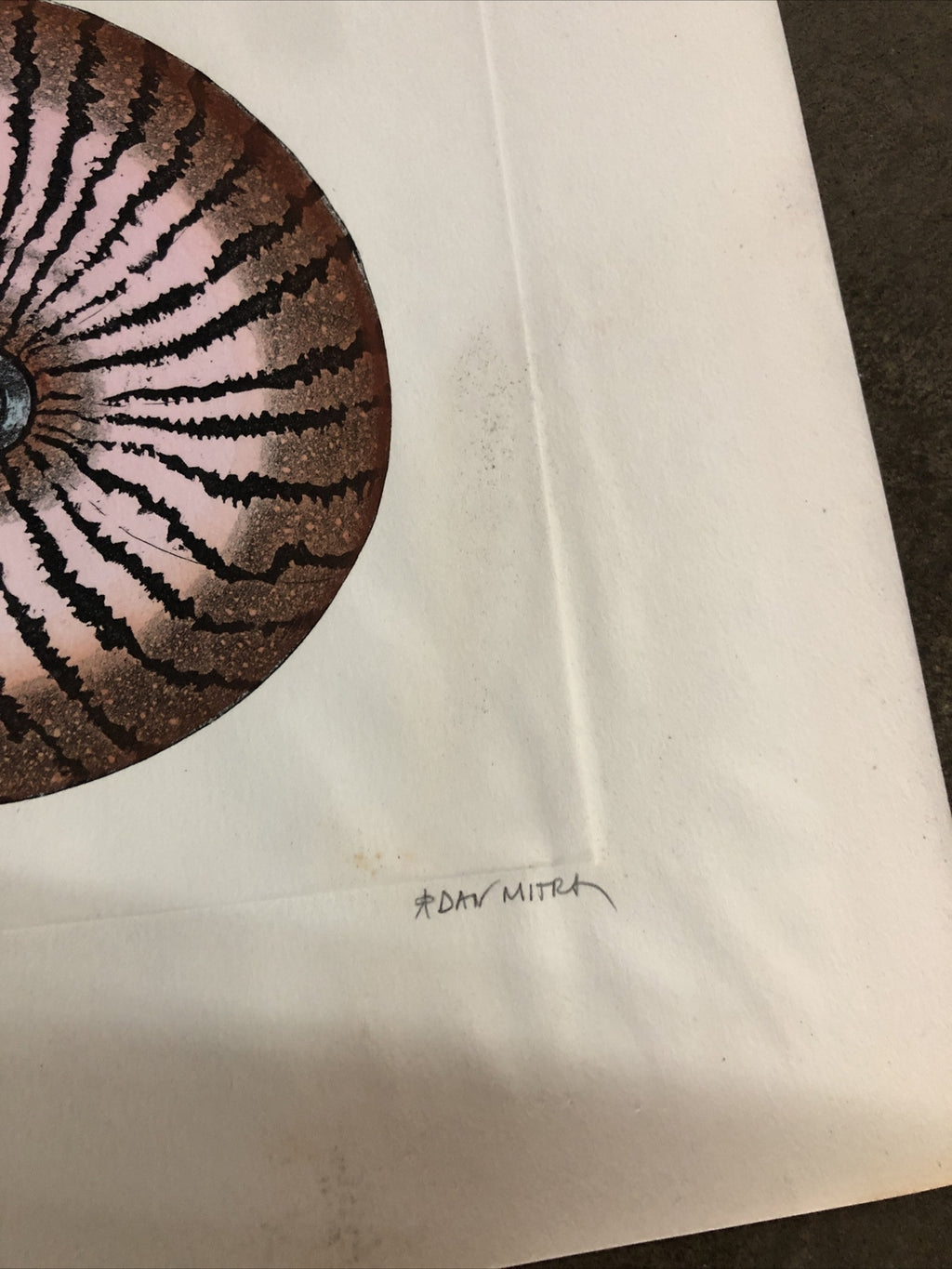 Dan Mitra Signed Etching “Nautilus” 36”x13”1