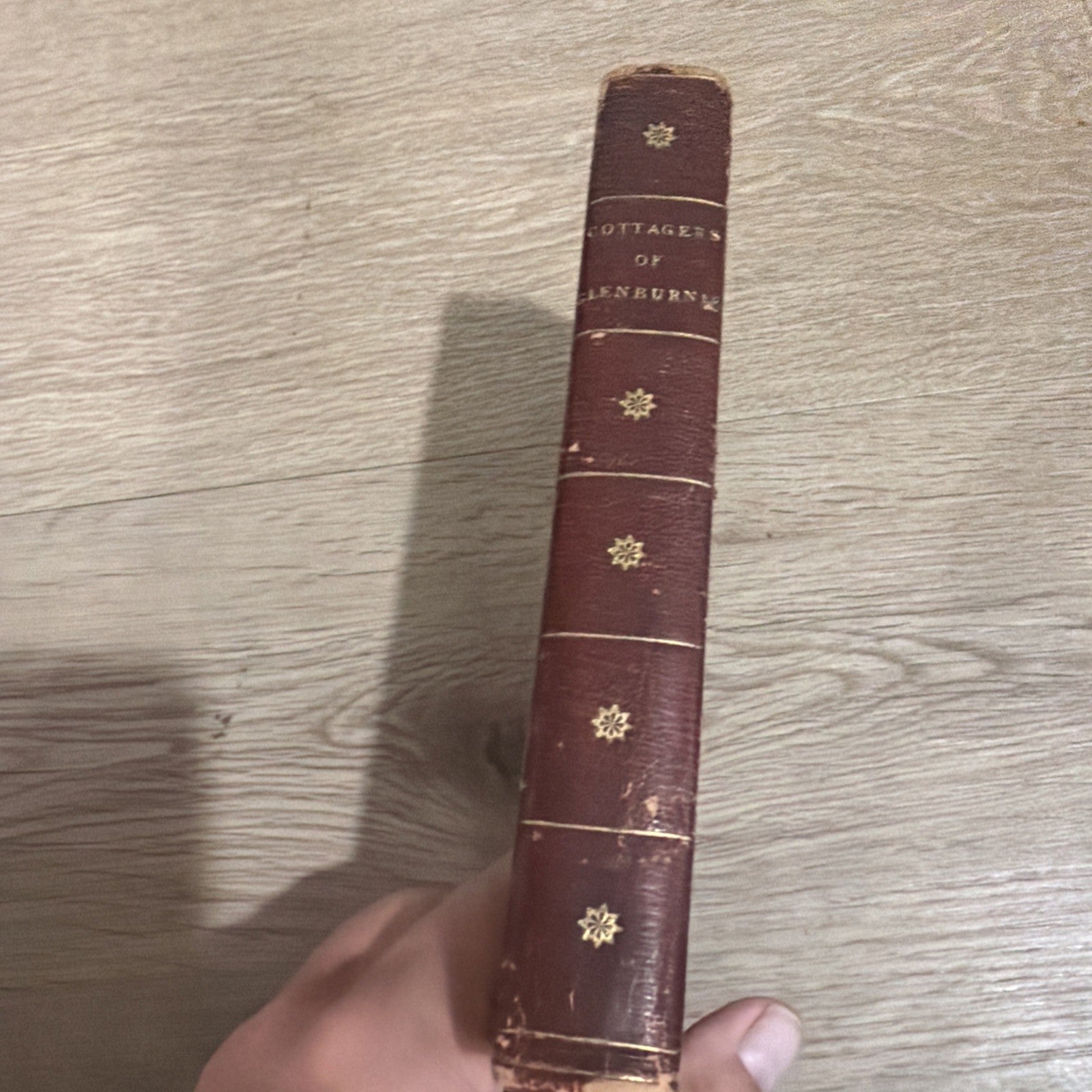 Antiquarian 1808 The Cottagers Of Glenburnie Elizabeth Hamilton 1st Edition1