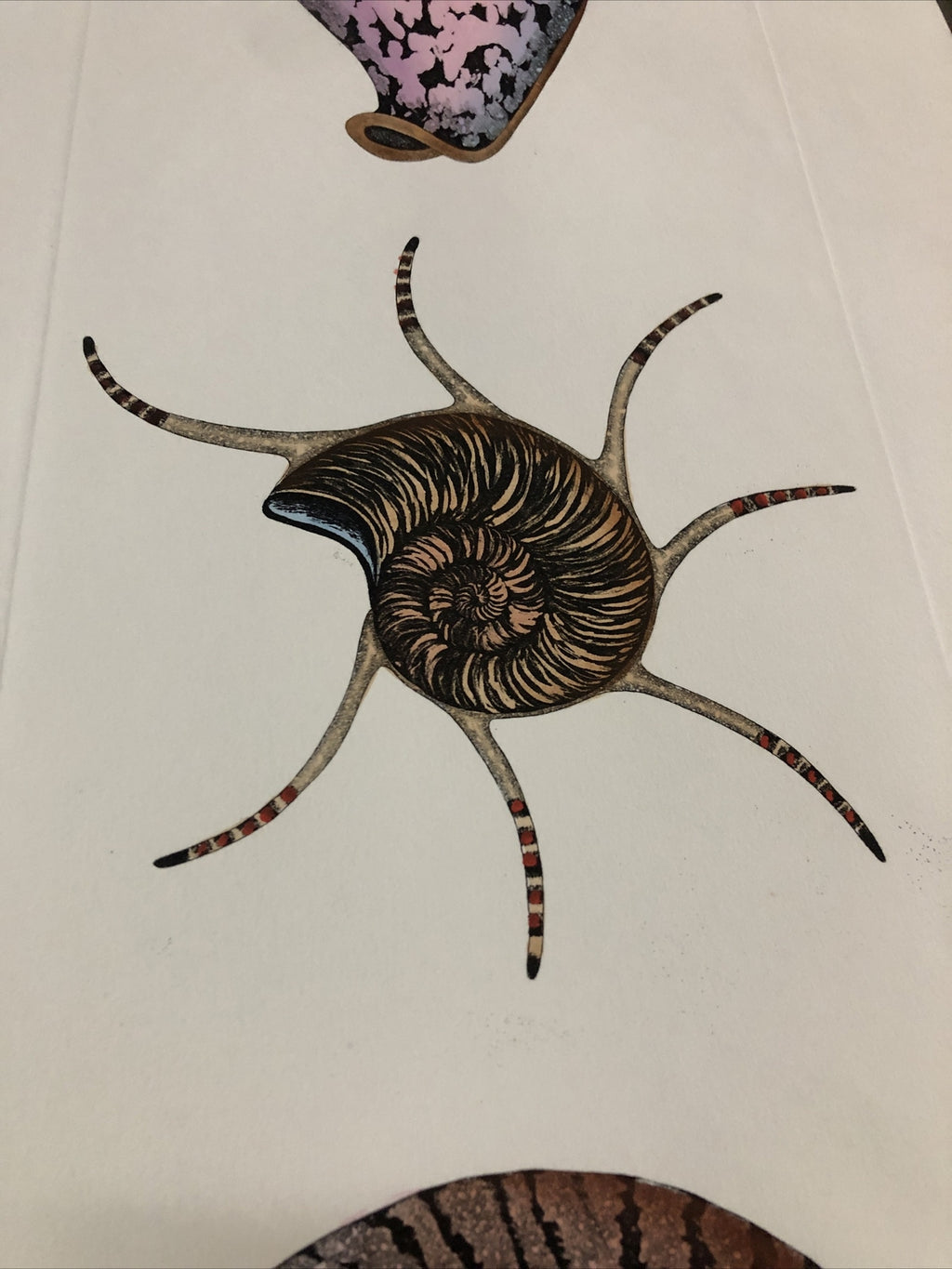 Dan Mitra Signed Etching “Nautilus” 36”x13”4
