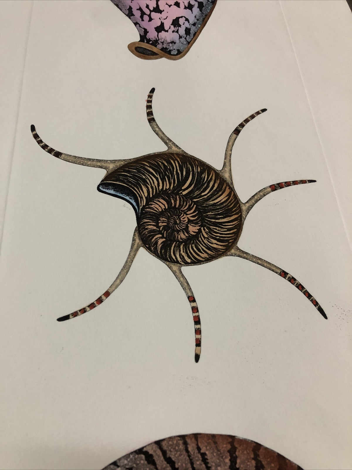 Dan Mitra Signed Etching “Nautilus” 36”x13”4