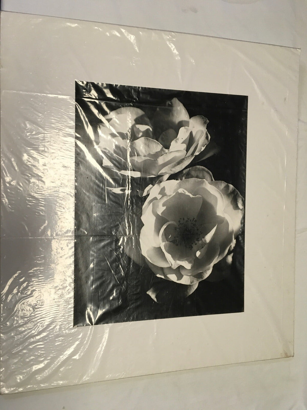 Black And White Flowers Art Print (vintage)1