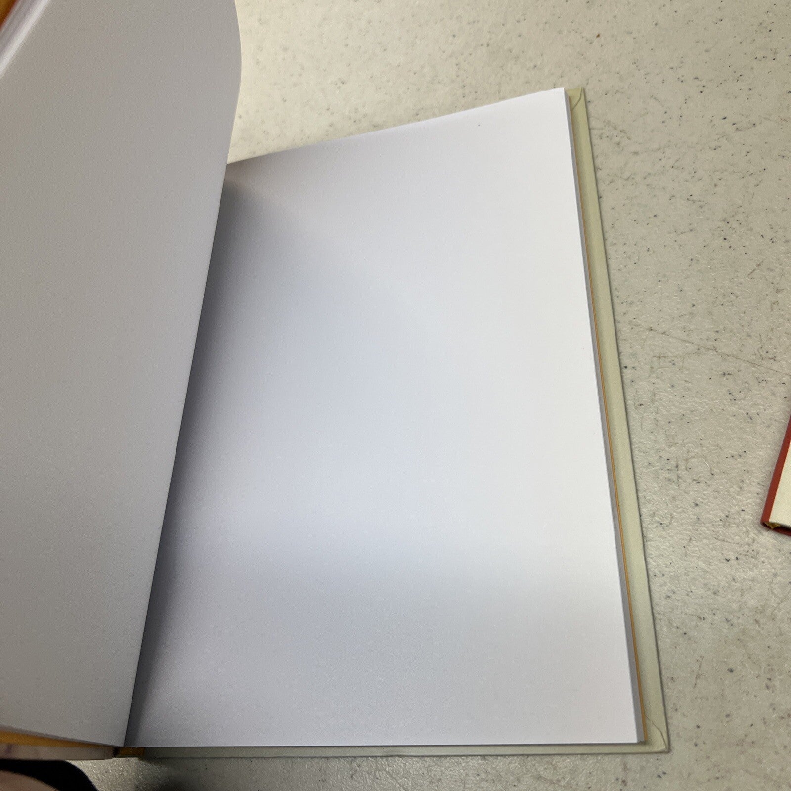 Pair of Monet and Matisse Art Blank Books 8” X 6”8