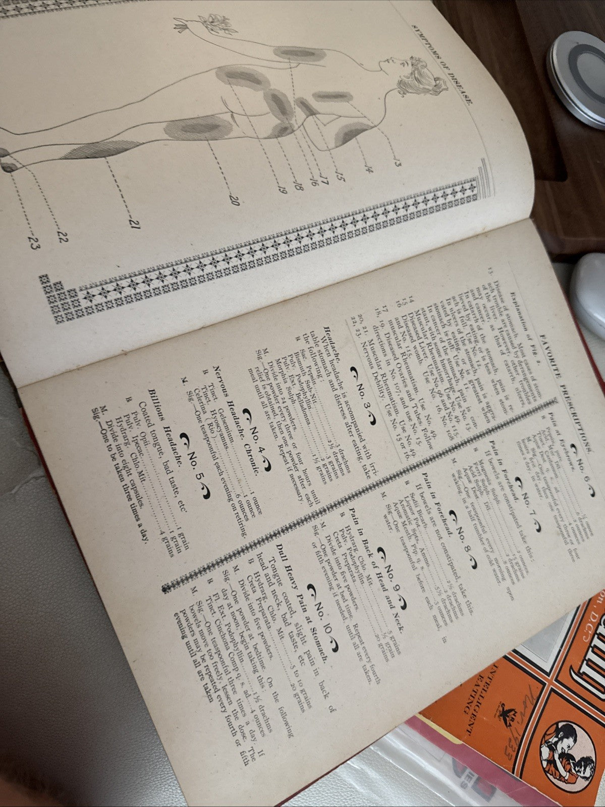 1900 Antique Medical  Book Dr. Weavers Family Atlas Of Human Diseases Rare6