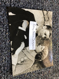 Rare Original Unpublished Photo Of RONALD COLMAN & ELISSA LANDI 5.5”x4”0