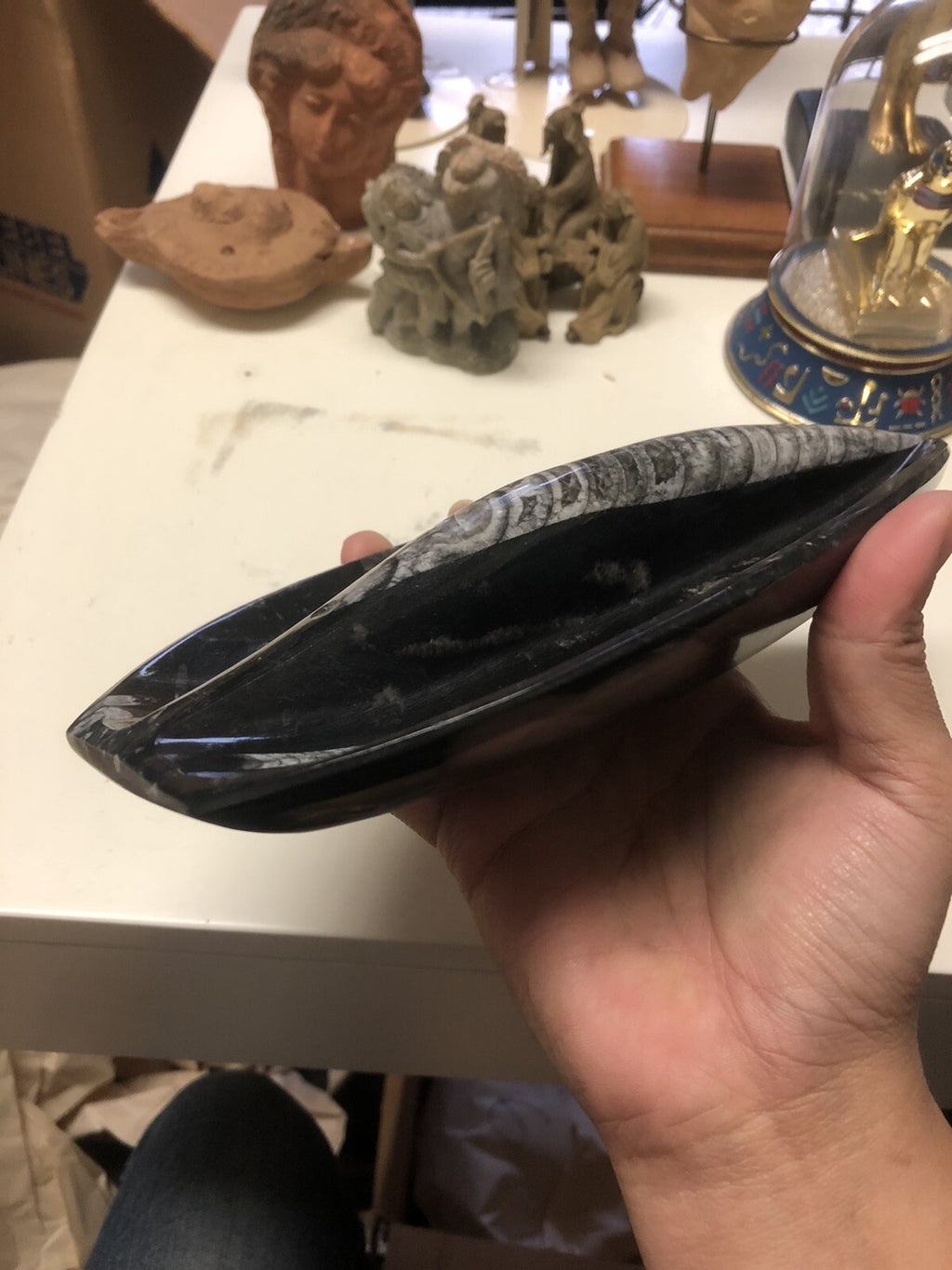 Natural Orthoceras Fossils Leaf Shape Stone Decoration3