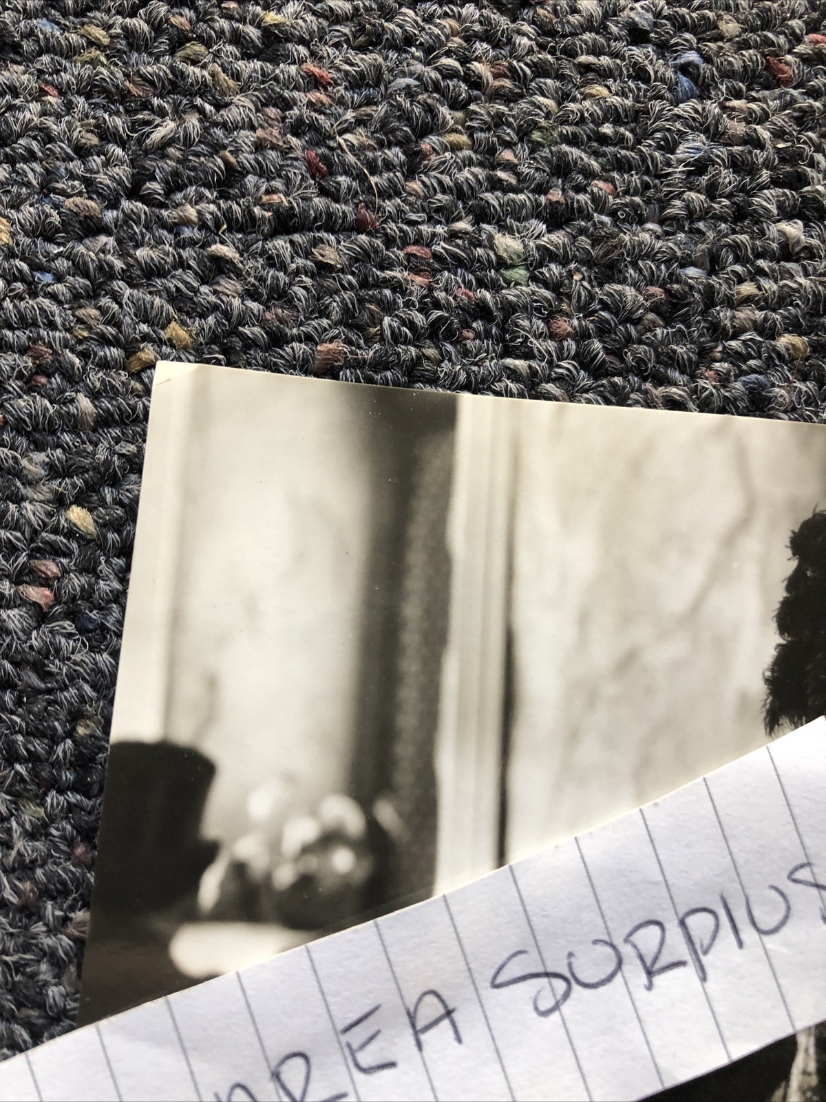 RARE Original Photo Of Dorothy Granger Candid Shot Black/White 8.5”x6”4