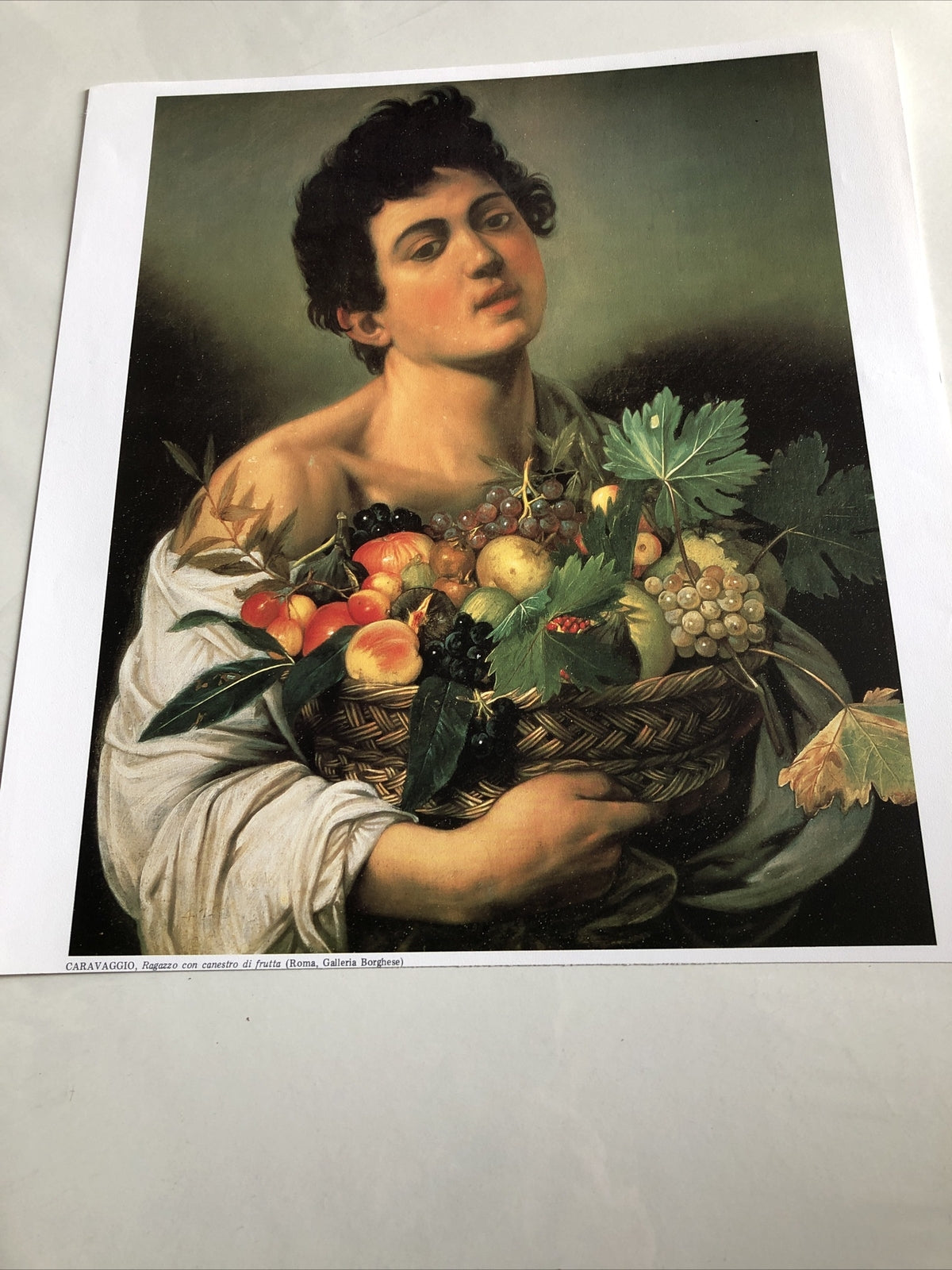 Caravaggio Ragazzo Con Canestro Di Frutta 14.5”x13.5”5