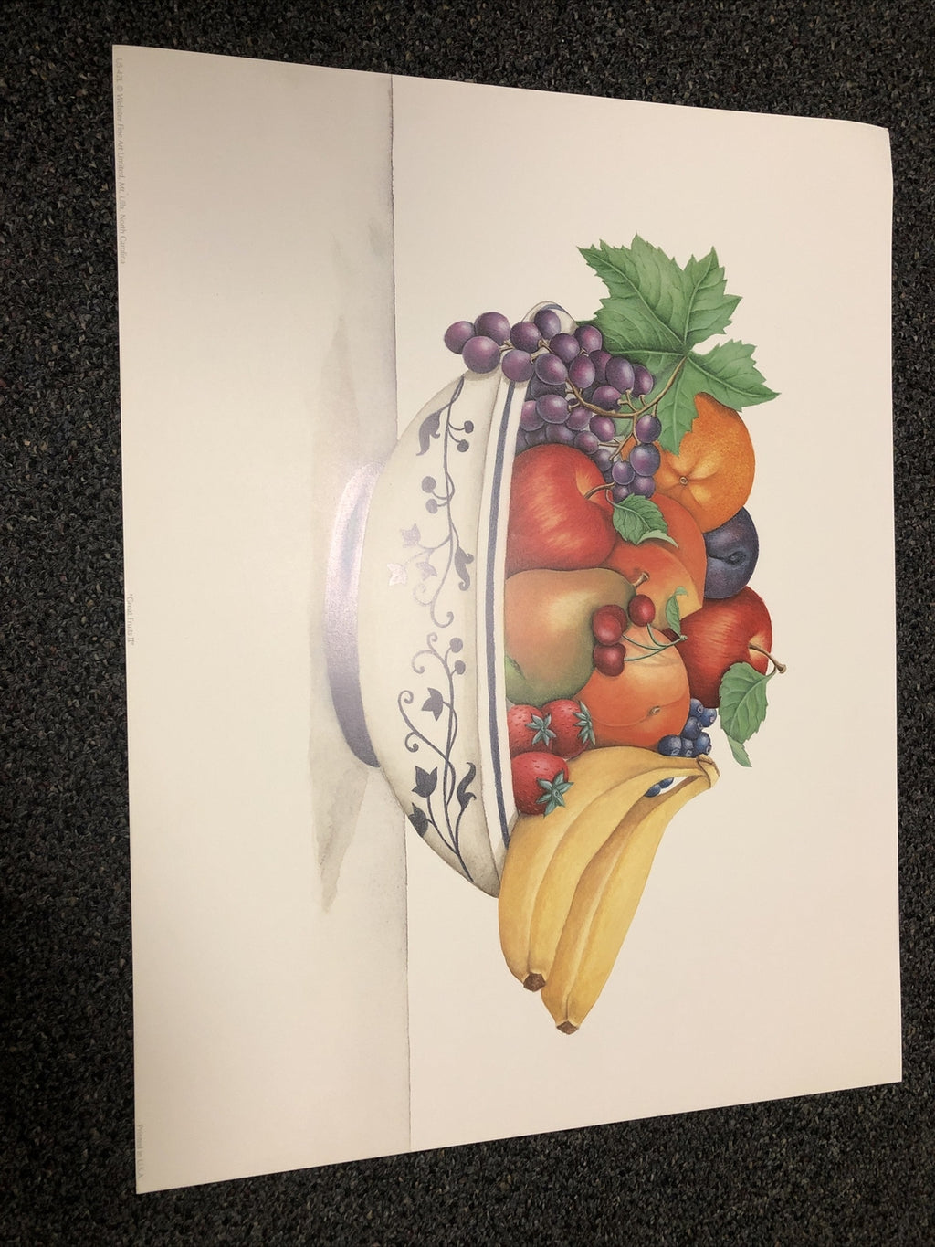 “Great Fruits II” by Webster Fine Art Poster Print 20”x16”0