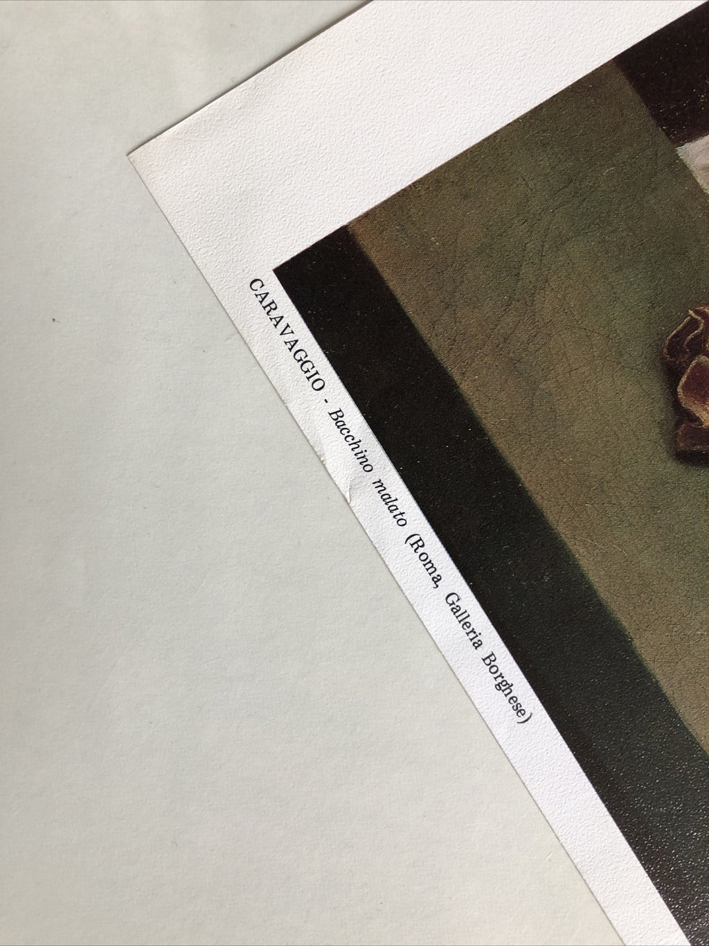 Caravaggio Bacchino Malato Print 14.5”x13.5”1