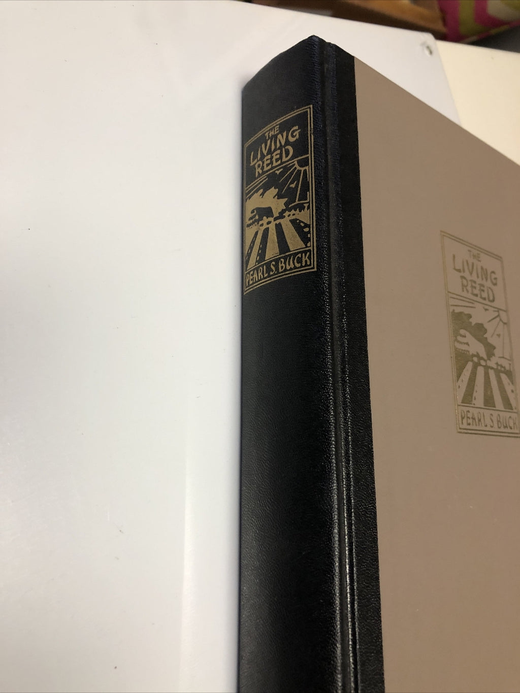 The Living Reed | Pearl S. Buck | 1963 | Hardcover2