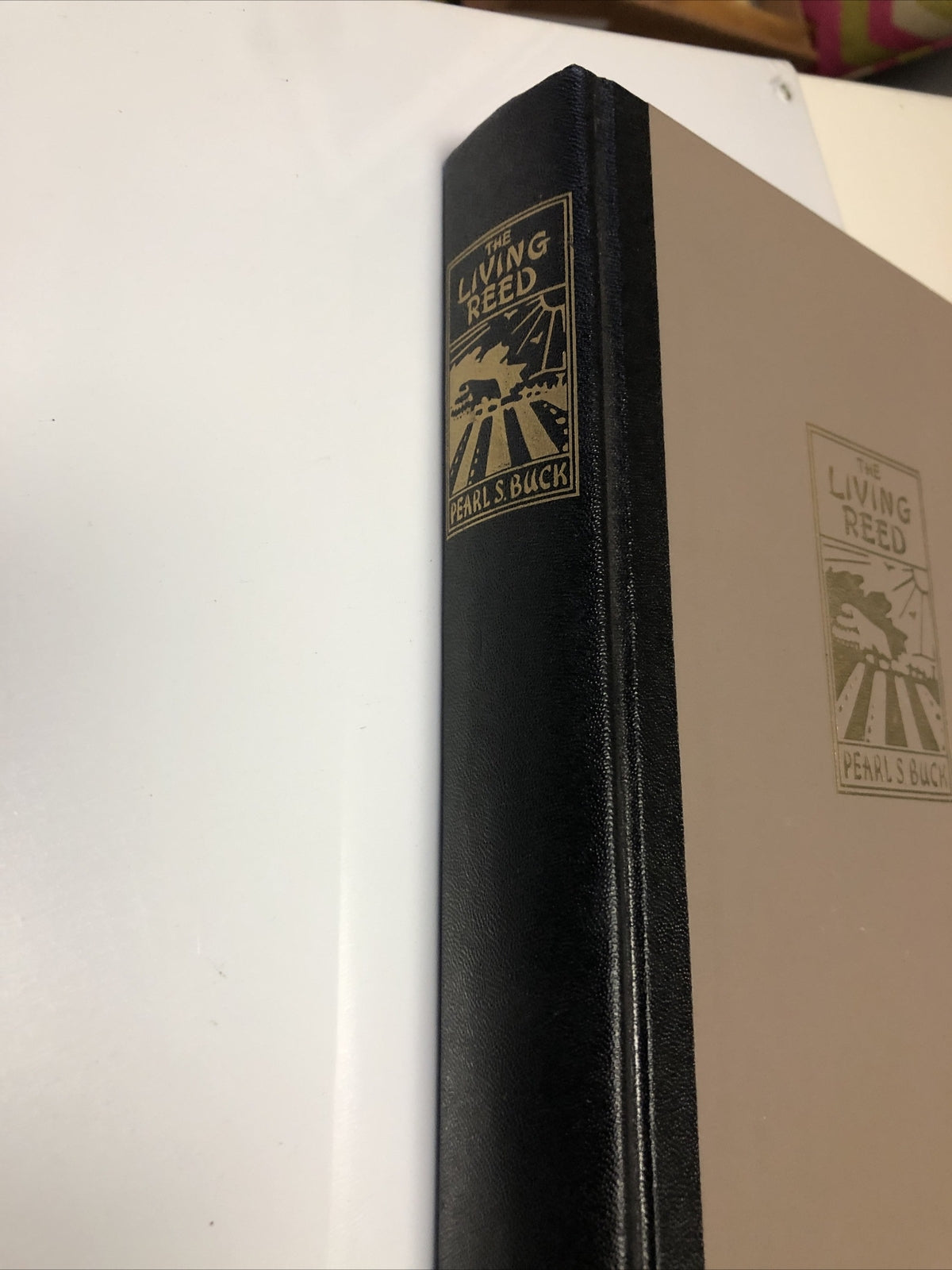 The Living Reed | Pearl S. Buck | 1963 | Hardcover2