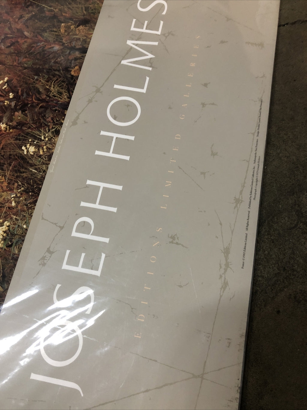 Joseph Holmes 1985 Editions Limited Galleries Poster 35”x25” (Great Meadow)2