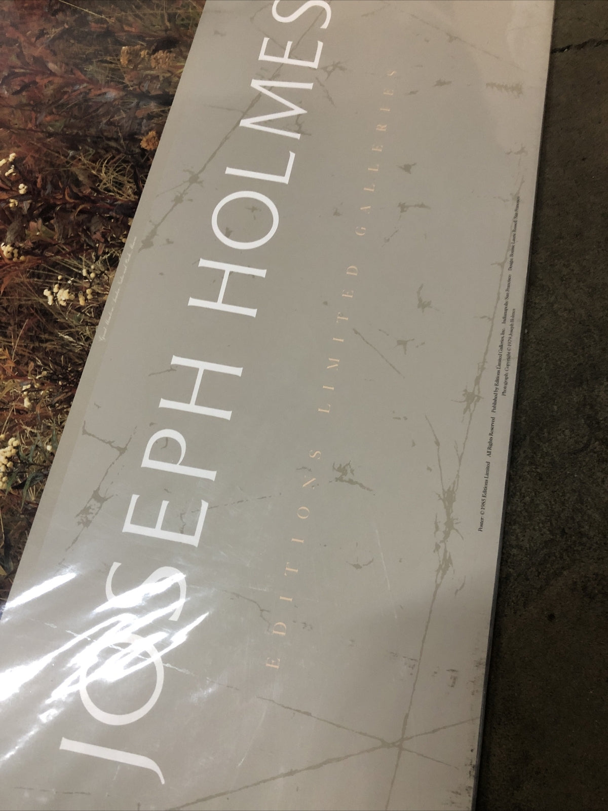Joseph Holmes 1985 Editions Limited Galleries Poster 35”x25” (Great Meadow)2