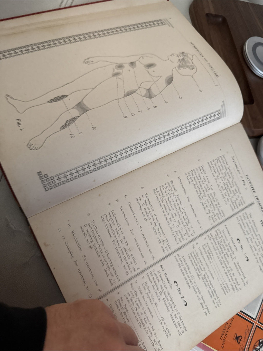 1900 Antique Medical  Book Dr. Weavers Family Atlas Of Human Diseases Rare5