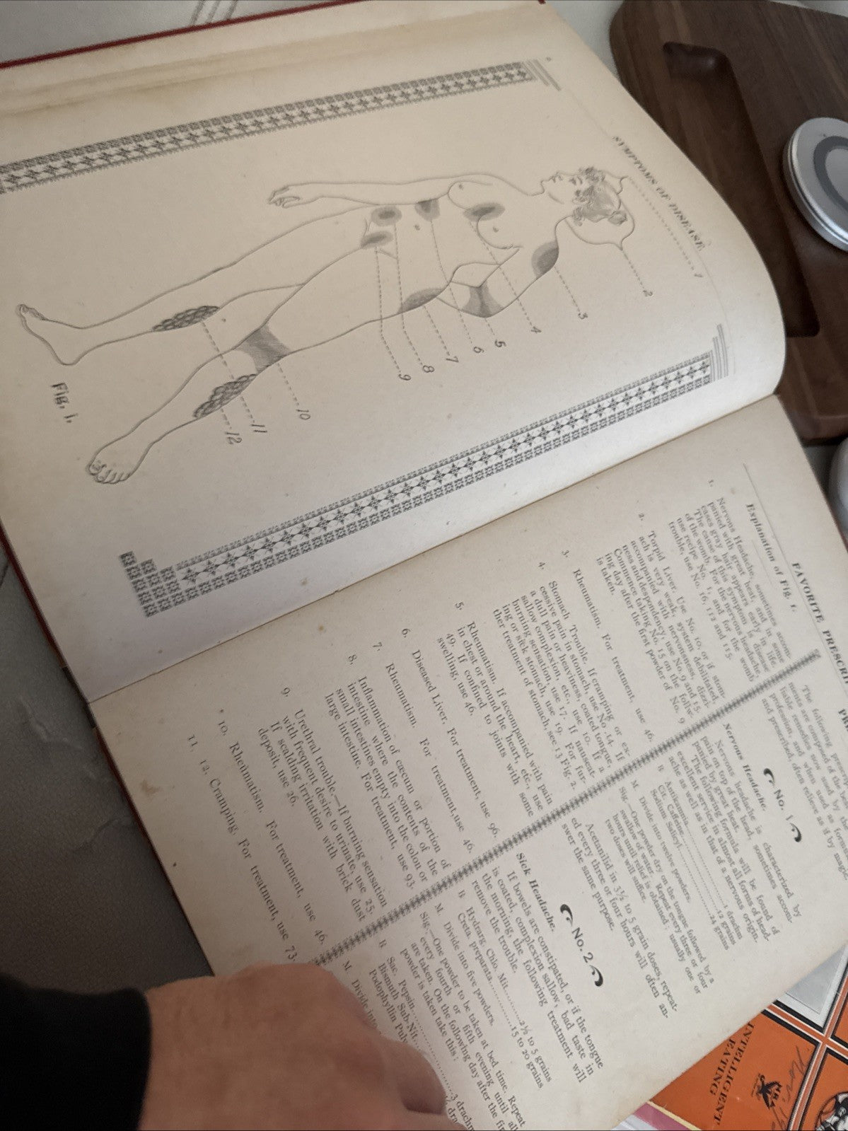 1900 Antique Medical  Book Dr. Weavers Family Atlas Of Human Diseases Rare5