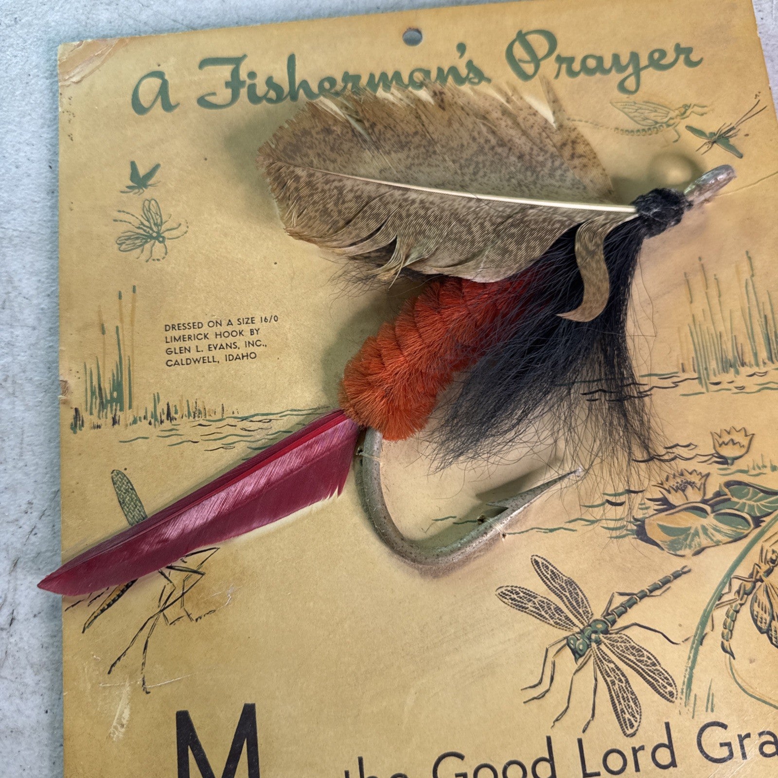 A Fishermans Prayer Bird Wing-Feather Decorative Fisherman's Fly Display2