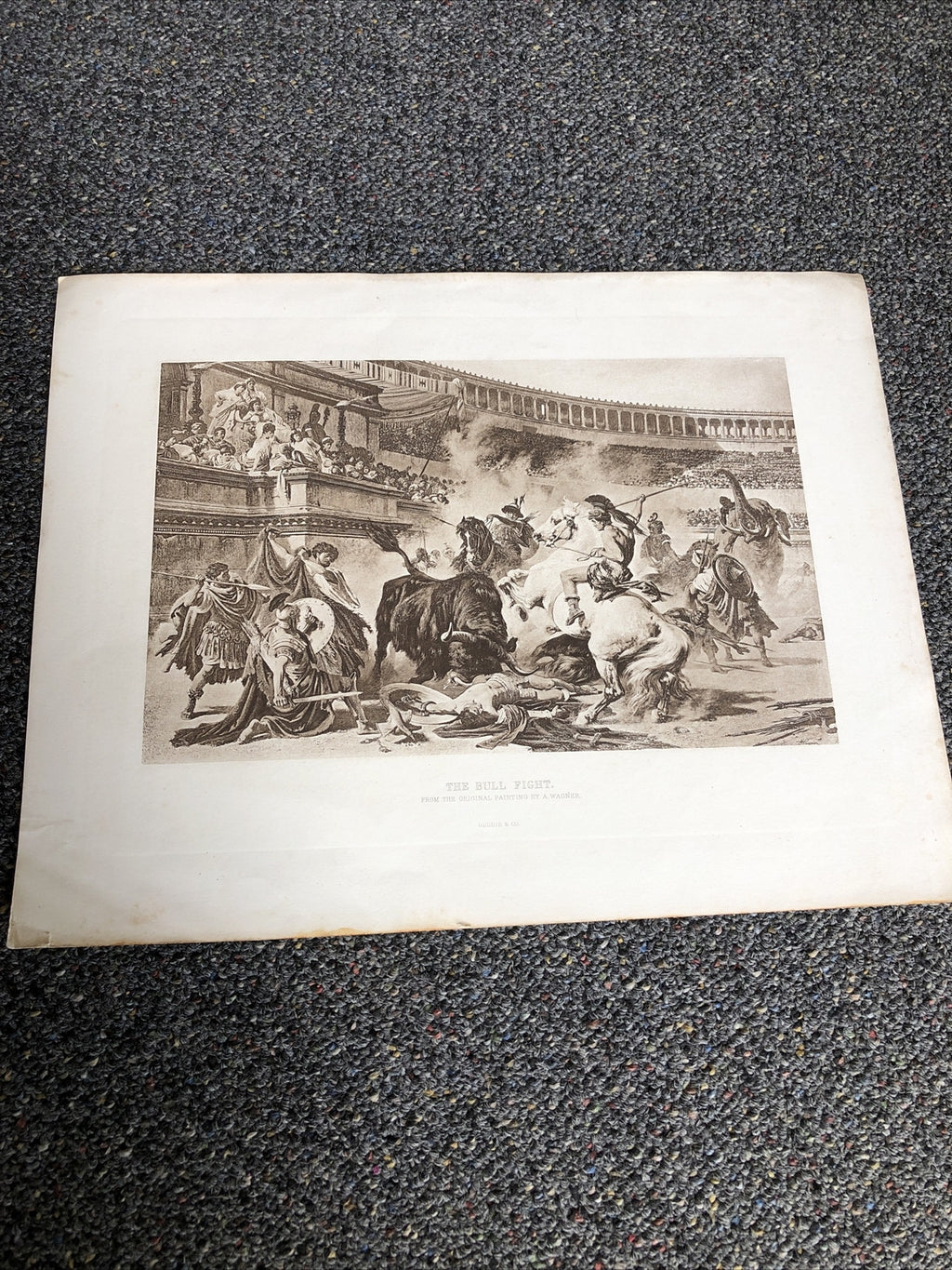 Bull Fight In The Roman Arena By A.Wagner 1889 Photogravure Treasures Of Art0