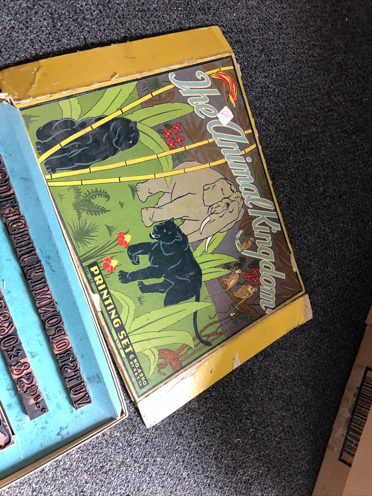 Rare Vintage Printing Set By T.S.T Co. “The Animal Kingdom” No. 49606
