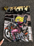 1990's COMIC DOUBLE SIDED POSTER w/ BARB WIRE & PAMELA  ANDERSON AS BARB WIRE0