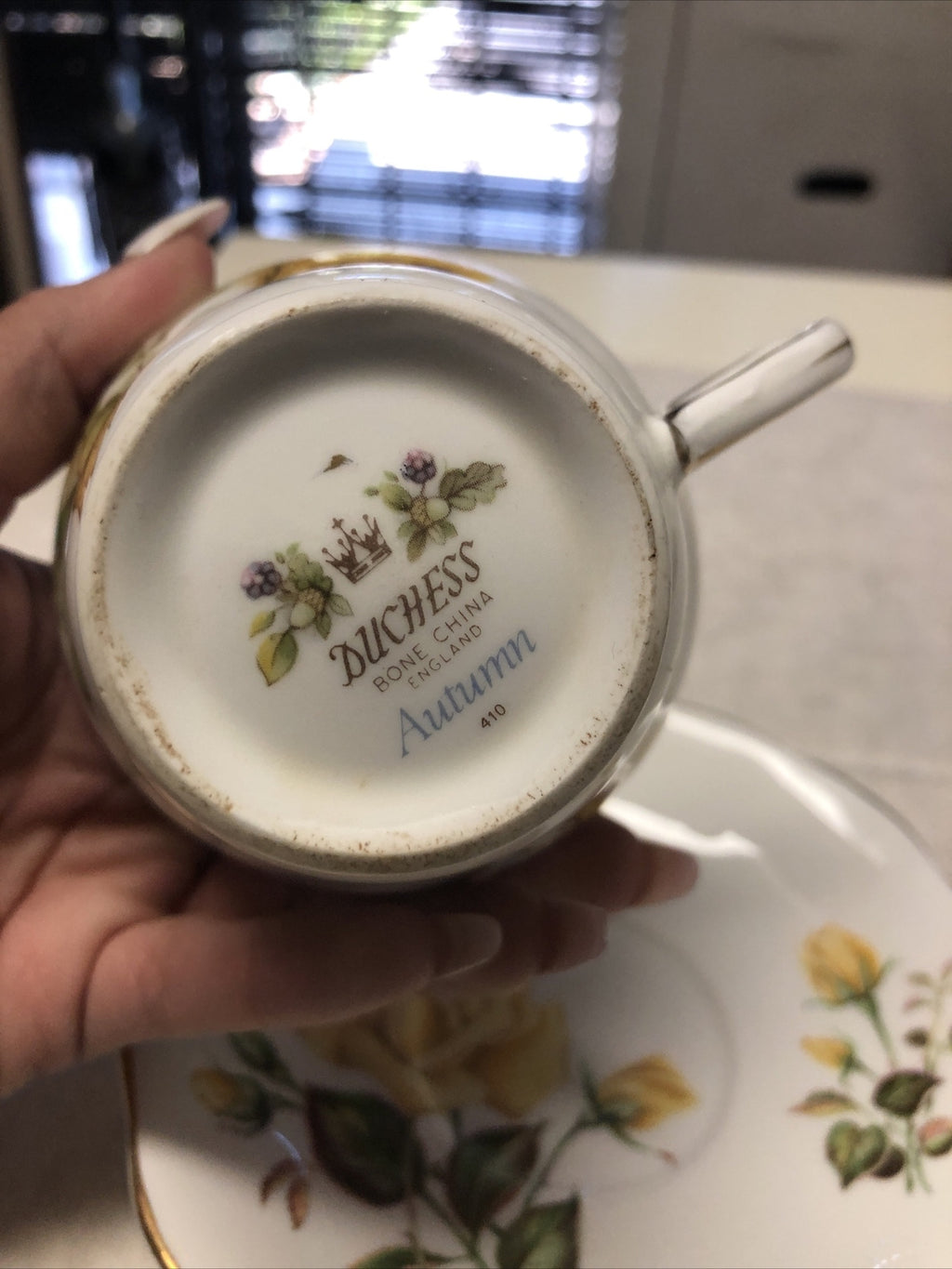 Vintage Duchess Autumn Tea Cup & Royal Standard Sunset Saucer Made In England1