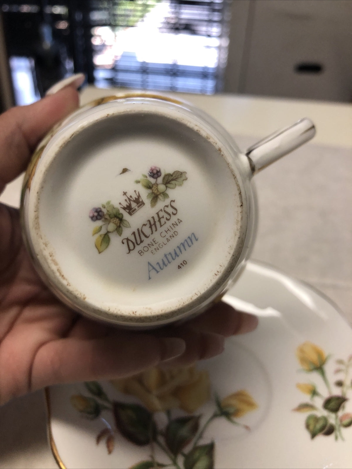 Vintage Duchess Autumn Tea Cup & Royal Standard Sunset Saucer Made In England1