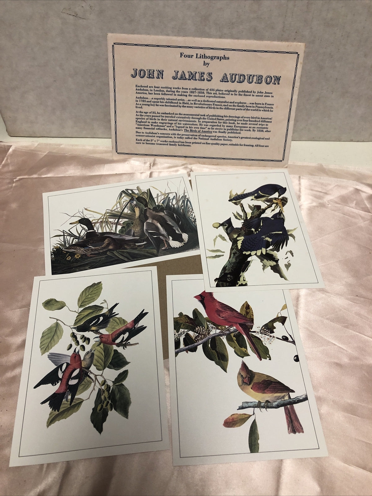 4 John James Audubon Litho Repros 5"x7" Birds & Duck Prints0