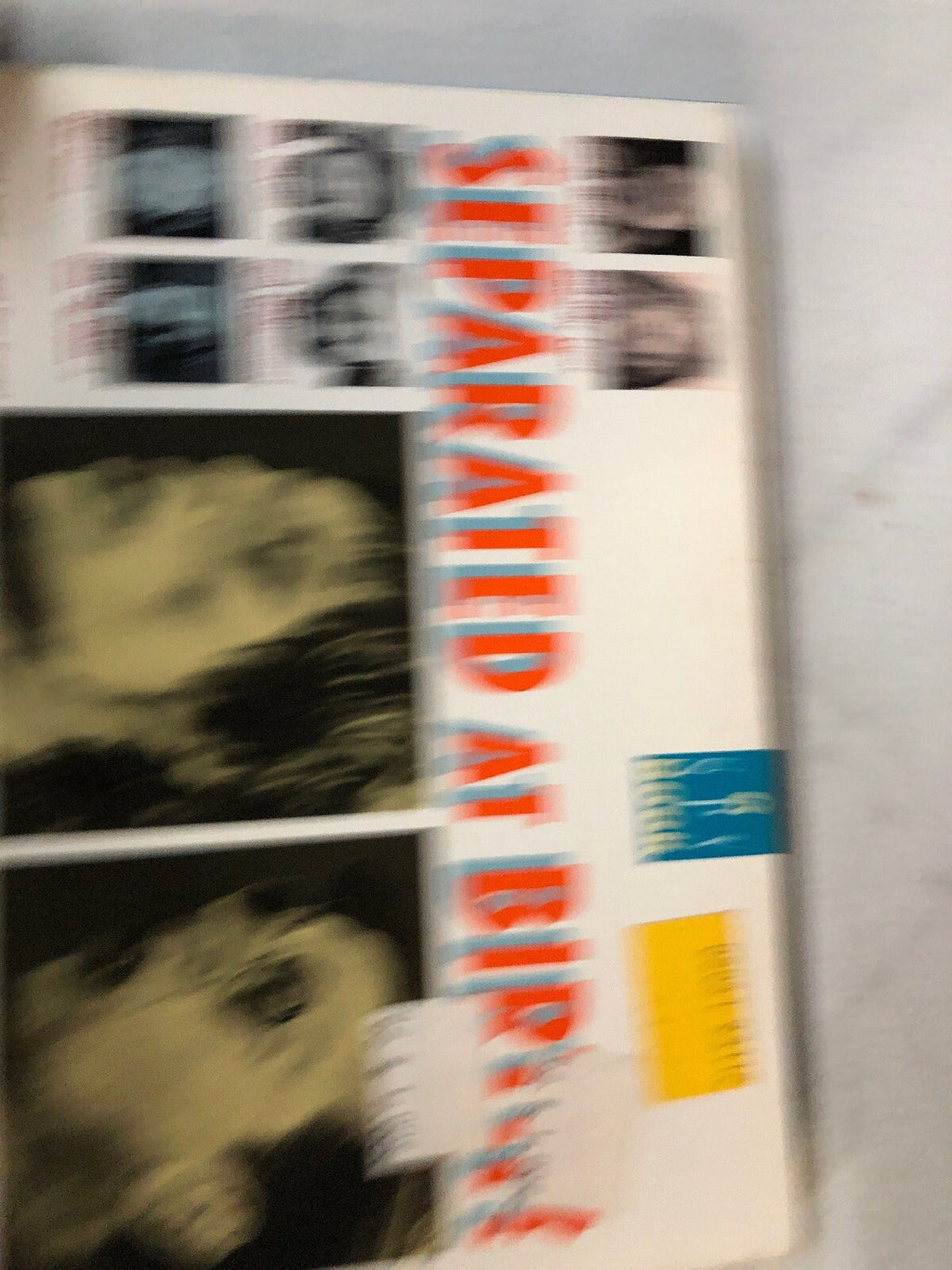 1988 SEPARATED AT BIRTH? Spy Book FN 6.0 1st Dolphin Paperback Bill Cosby0