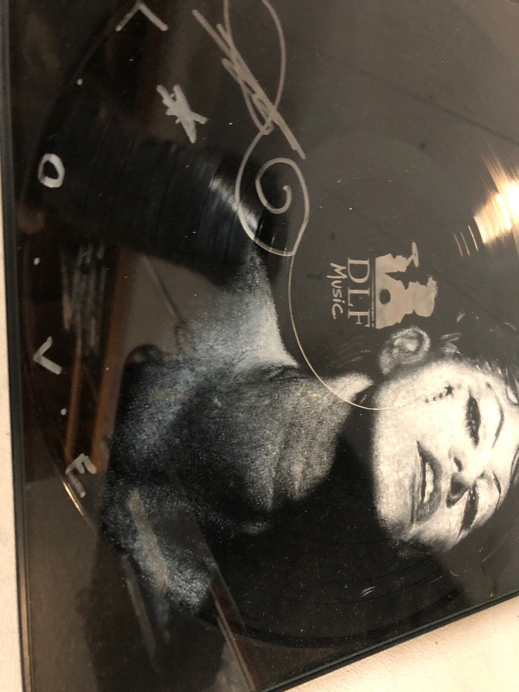 Way to Normal Record, Amanda Palmer Singed Vinyl Mint DLF Music Wall Hang2