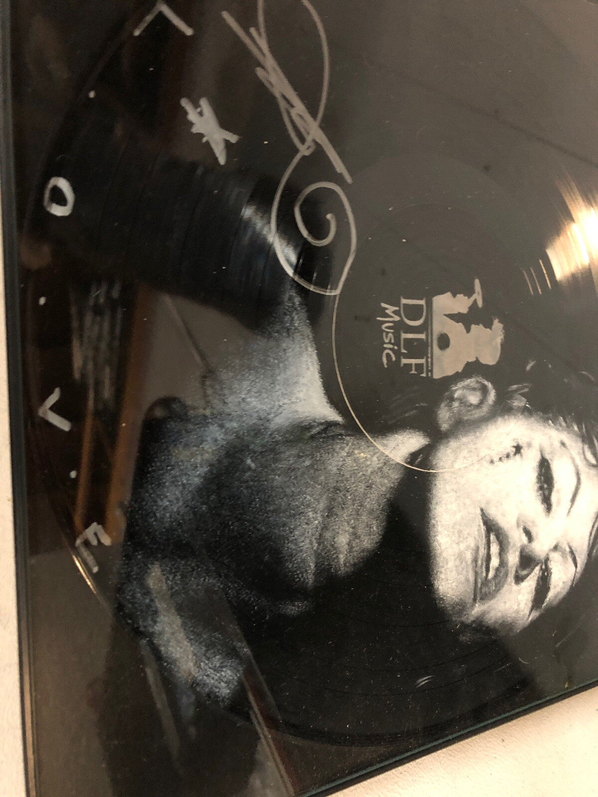 Way to Normal Record, Amanda Palmer Singed Vinyl Mint DLF Music Wall Hang2