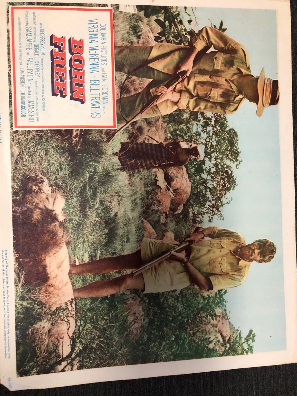 Born Free Photography Carl Foreman Virginia McKenna Bill Travers Lion Hunt0