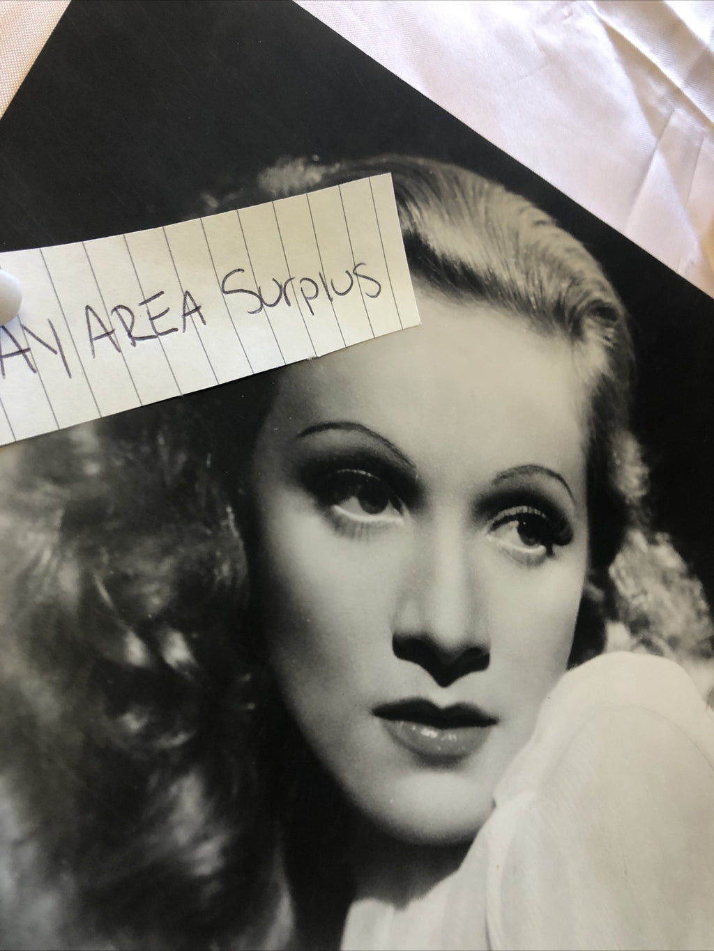 RARE Original Photo Of Marlene Dietrich Glamour Shot 8”x7”1