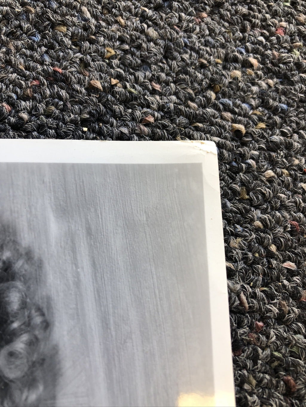 Rare Vintage Original Unpublished Photo Of ANN NEAGE 10”x7.5”3