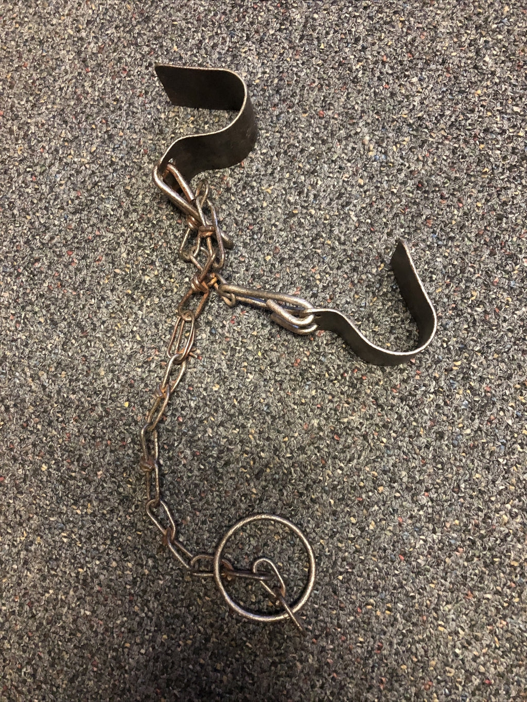 Antique Cow Hobbles Kickers Iron Chains Early 1900's1